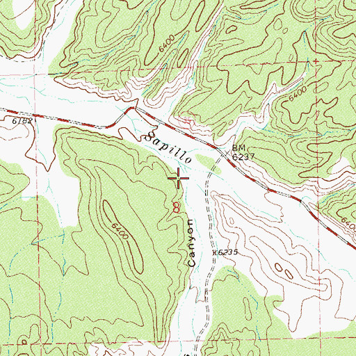 Topographic Map of Skates Canyon, NM