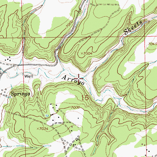 Topographic Map of Skeets Wash, NM