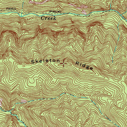 Topographic Map of Skeleton Ridge, NM