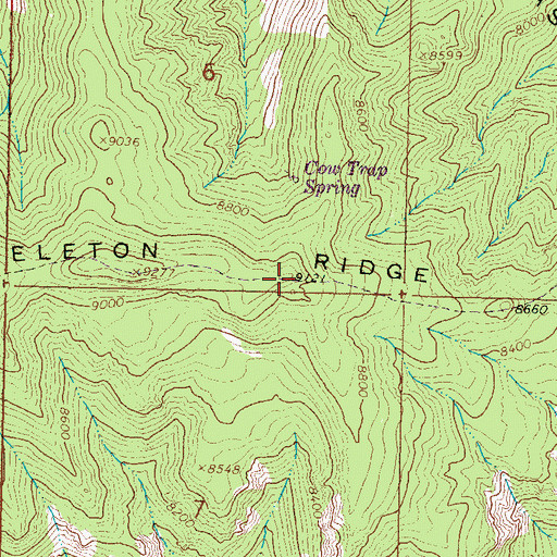 Topographic Map of Skeleton Ridge, NM