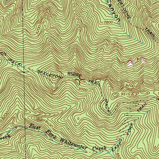 Topographic Map of Skeleton Ridge Trail, NM