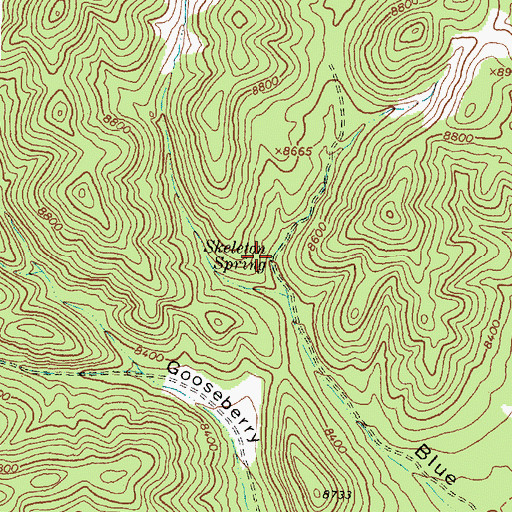 Topographic Map of Skeleton Spring, NM