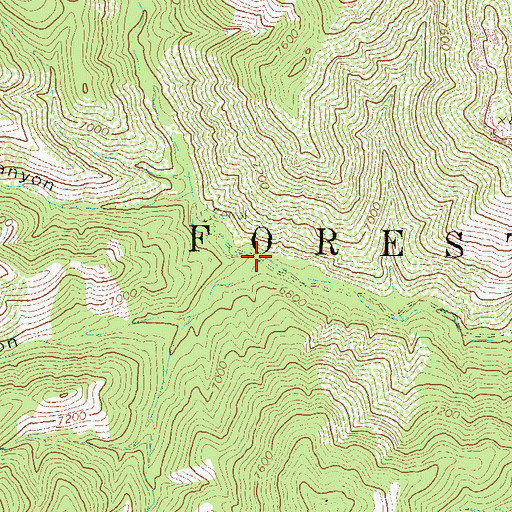 Topographic Map of Skid Canyon, NM