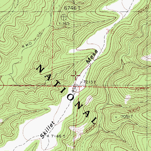 Topographic Map of Skillet Mesa, NM