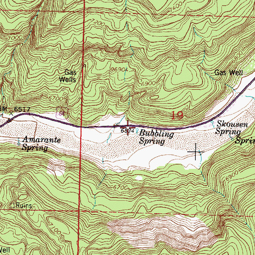 Topographic Map of Bubbling Spring, NM