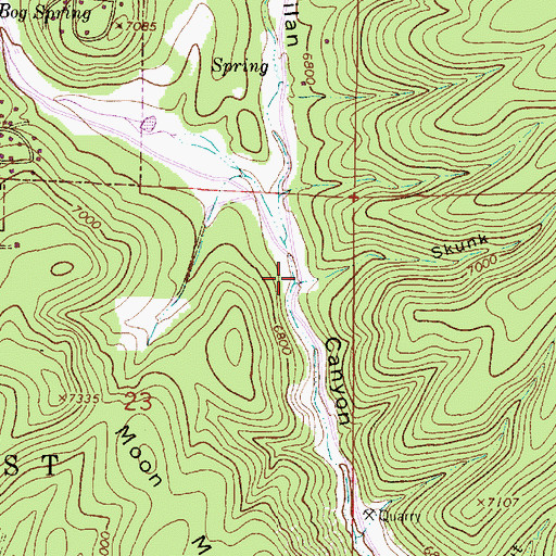 Topographic Map of Skunk Canyon, NM
