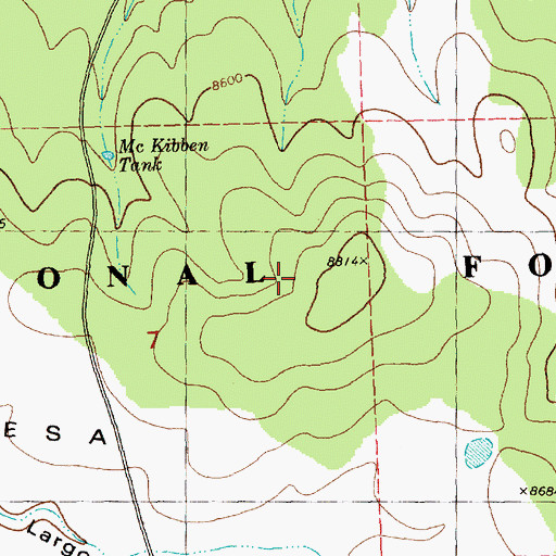 Topographic Map of Slaughter Mesa, NM