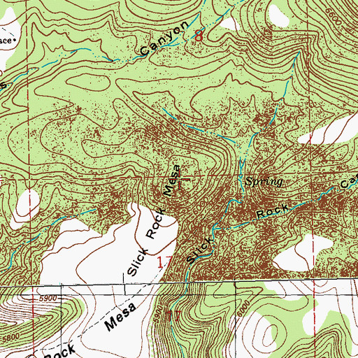 Topographic Map of Slick Rock Mesa, NM