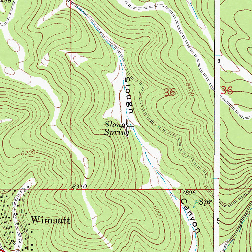 Topographic Map of Slough Spring, NM