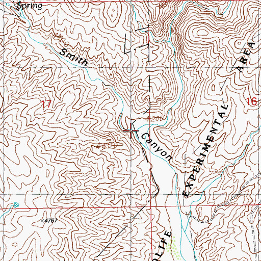 Topographic Map of Smith Canyon, NM
