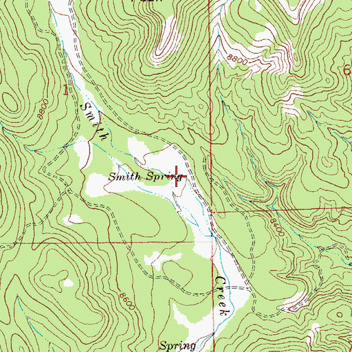 Topographic Map of Smith Spring, NM