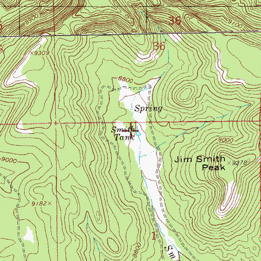 Topographic Map of Smith Tank, NM