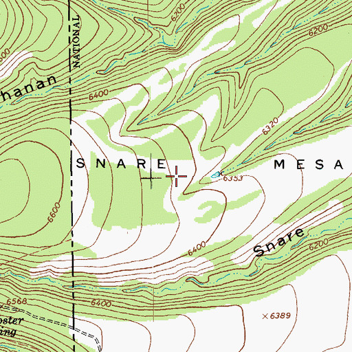 Topographic Map of Snare Mesa, NM