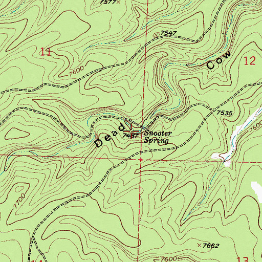 Topographic Map of Snooter Spring, NM