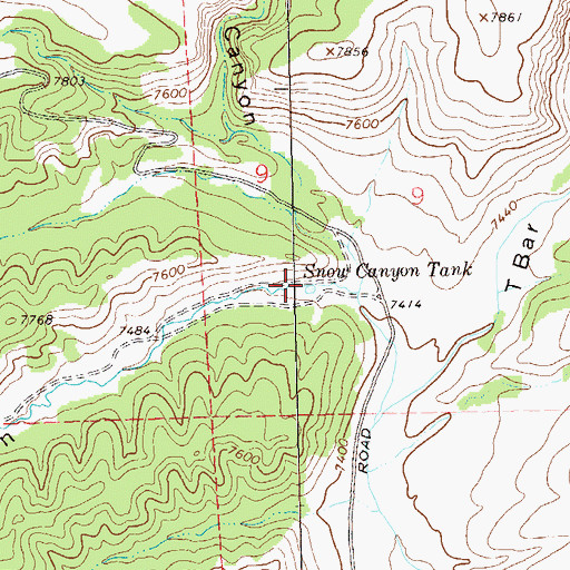Topographic Map of Snow Canyon Tank, NM