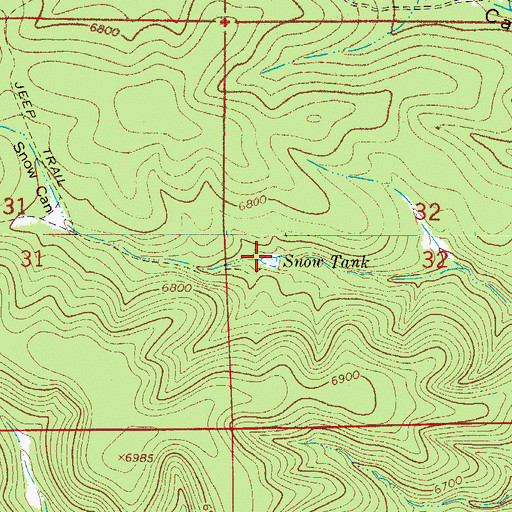 Topographic Map of Snow Tank, NM