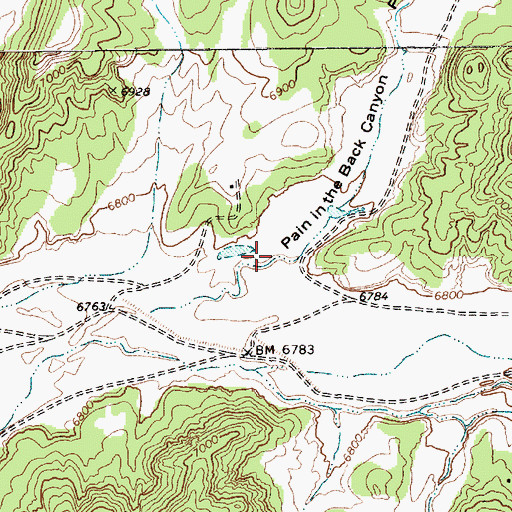 Topographic Map of Pain in the Back Canyon, AZ