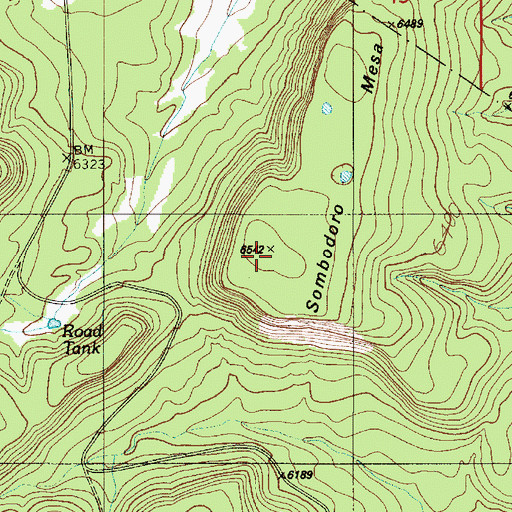Topographic Map of Sombodoro Mesa, NM