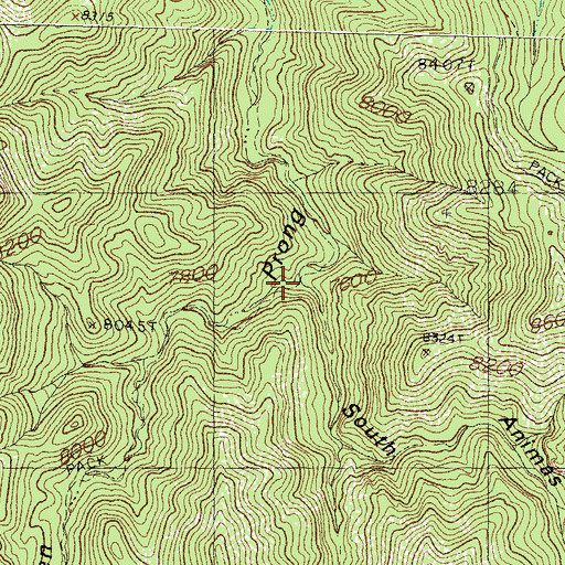 Topographic Map of South Animas Canyon, NM