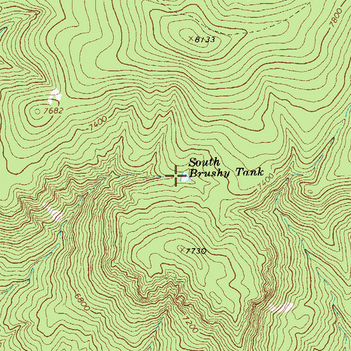 Topographic Map of South Brushy Tank, NM