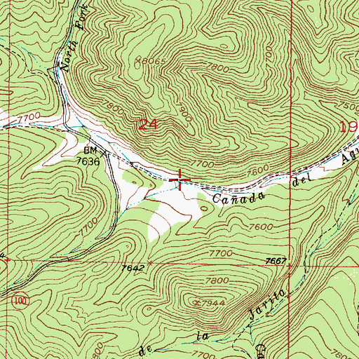 Topographic Map of South Fork Caada del Agua, NM