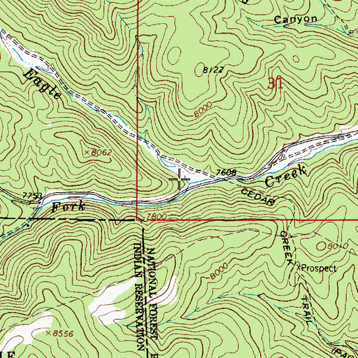 Topographic Map of South Fork Eagle Creek, NM