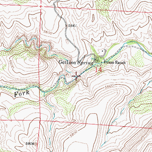 Topographic Map of South Fork Palomas Creek, NM