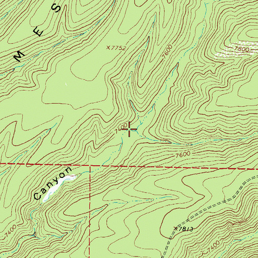 Topographic Map of South Fork Powderhorn Canyon, NM