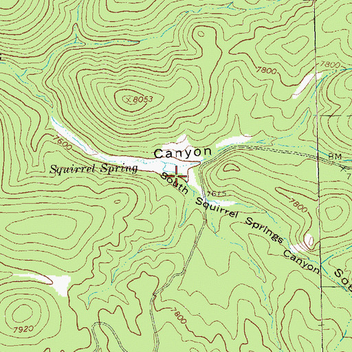 Topographic Map of South Squirrel Springs Canyon, NM