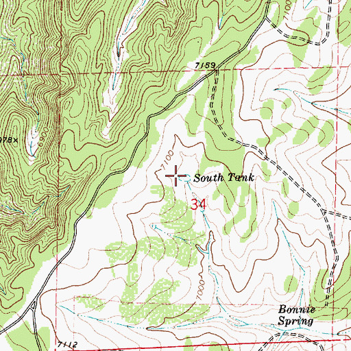 Topographic Map of South Tank, NM