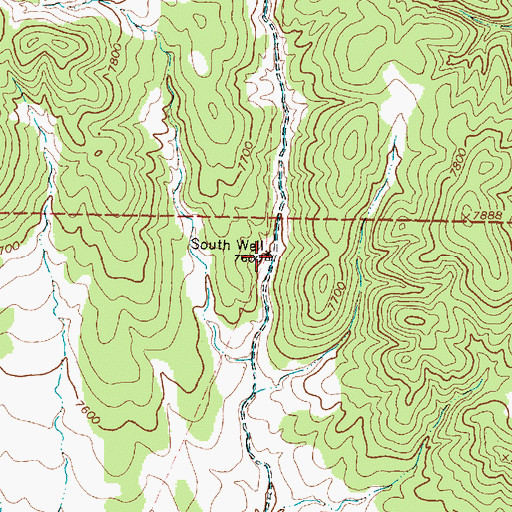 Topographic Map of South Well, NM