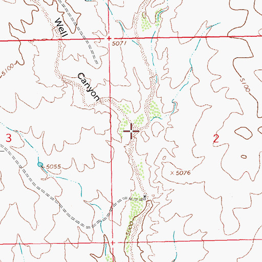 Topographic Map of South Well Canyon, NM