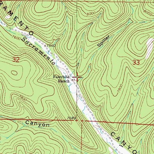 Topographic Map of Spiller Canyon, NM