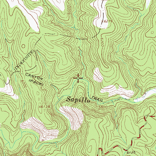 Topographic Map of Spring Canyon, NM