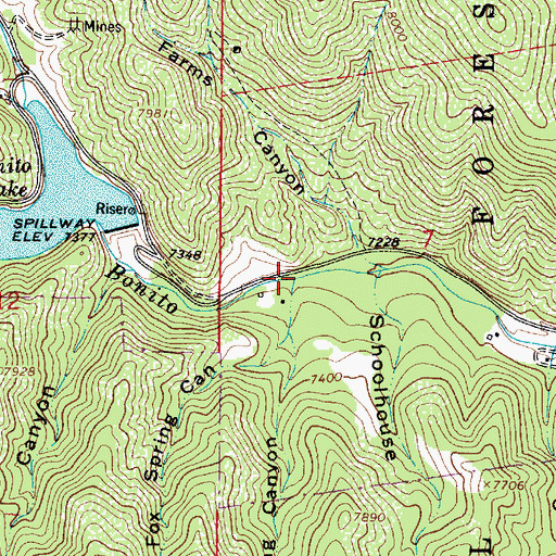 Topographic Map of Spring Canyon, NM