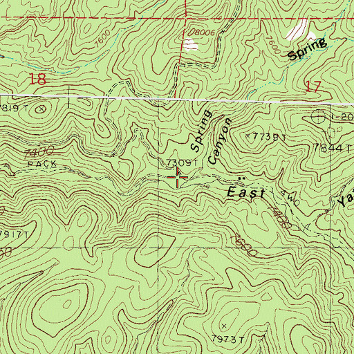 Topographic Map of Spring Canyon, NM