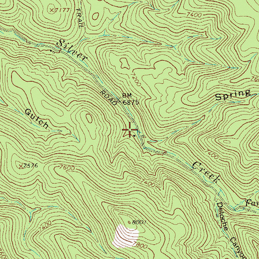 Topographic Map of Spring Canyon, NM