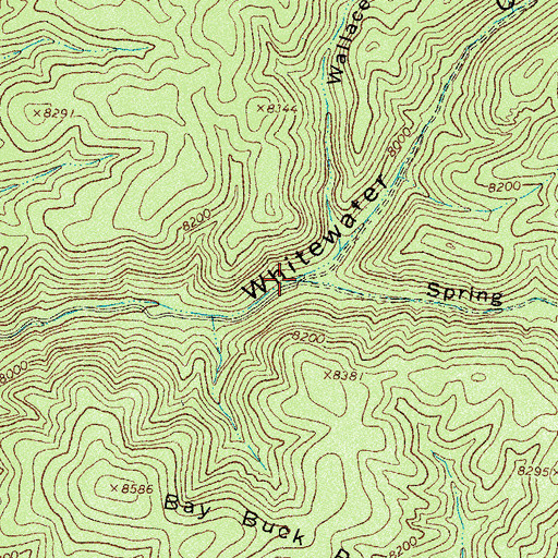 Topographic Map of Spring Canyon, NM
