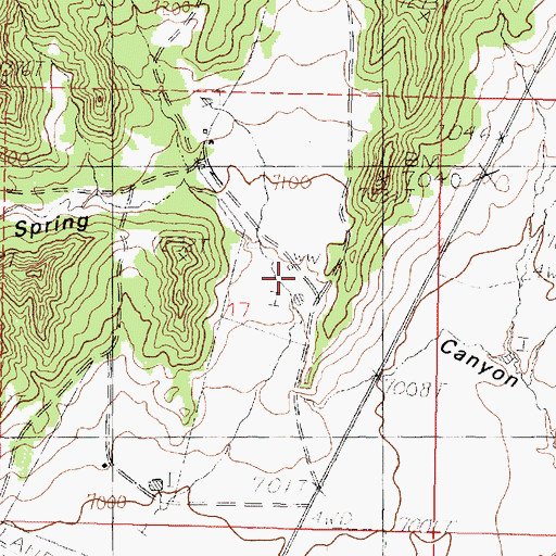 Topographic Map of Spring Canyon, NM