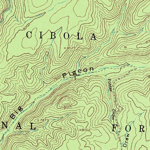 Topographic Map of Spring Hollow Canyon, NM