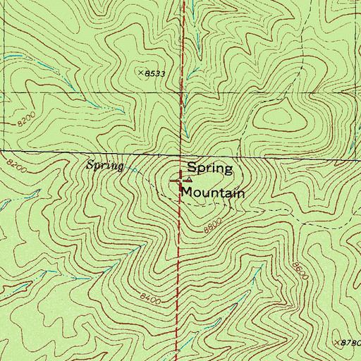 Topographic Map of Spring Mountain, NM