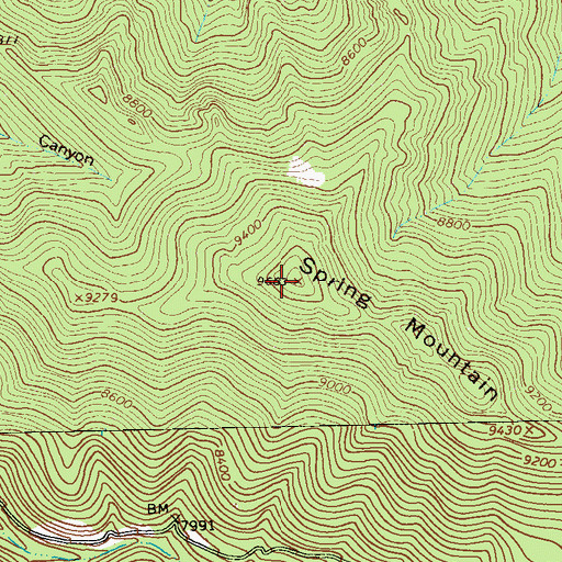 Topographic Map of Spring Mountain, NM