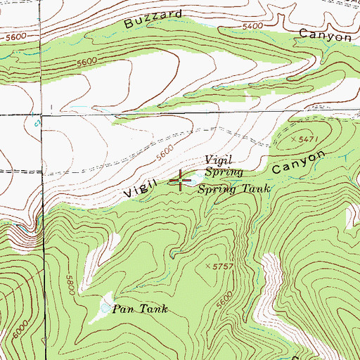 Topographic Map of Spring Tank, NM