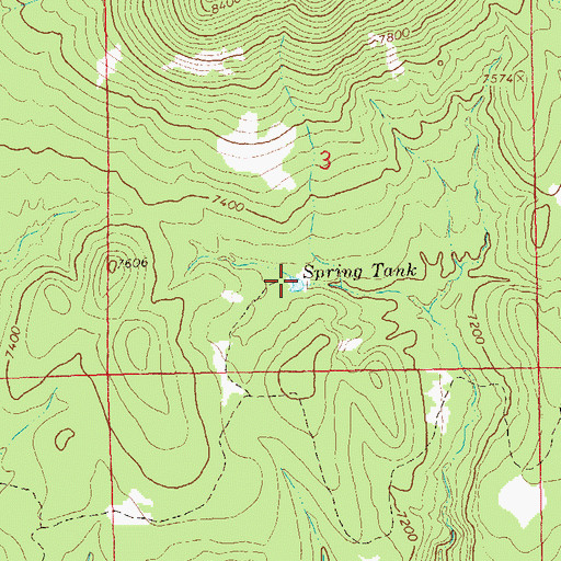 Topographic Map of Spring Tank, NM