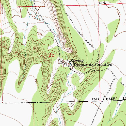 Topographic Map of Spring Tanque de Caballos, NM