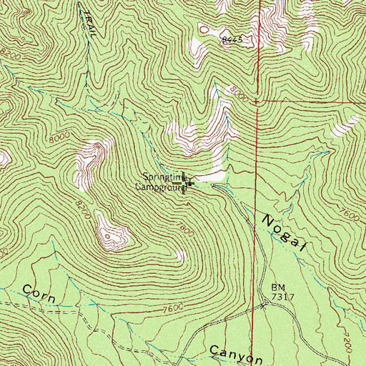 Topographic Map of Springtime Campground, NM
