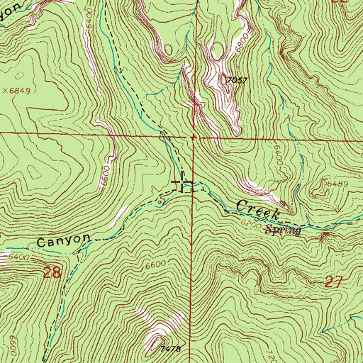 Topographic Map of Springtime Canyon, NM