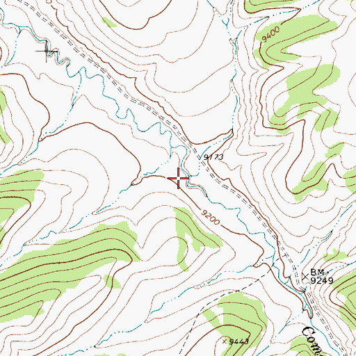 Topographic Map of Springwagon Creek, NM