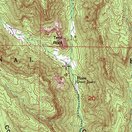 Topographic Map of Spruce Canyon, NM