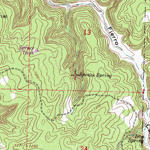 Topographic Map of Spruce Spring, NM